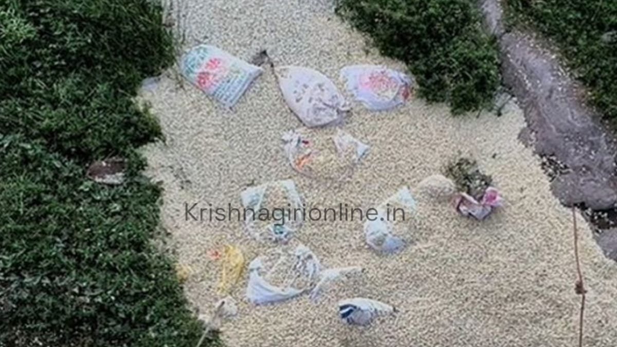 kaveripattinam-farmers-dump-jasmine-flowers-thenpennai-river